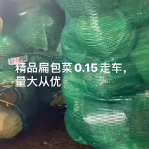 东台包菜大量上市，奥奇那，质量好，大量供应欢迎咨询