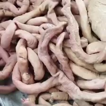 纯干牛小肠牛大肠牛圆肠牛肠熟牛肠厂家直销一手货源