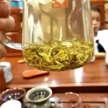 茉莉飘雪茉莉花茶广西横县中华茉莉园花茶直销