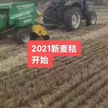 2021..新麦秸秆。