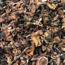 榛蘑，质量可以，不碎，25斤一箱，价格合理52元