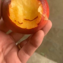 油桃