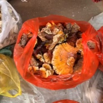 云南野生金边灵芝，干货菌香味浓郁，大量批发，量大从优。