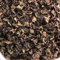 黑龙江大棚秋耳上市，质量杠杠好，货干，均匀