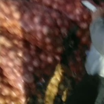 小葱70吨要的联系，紫皮60亩马上开挖，