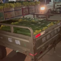 给老板订货，装车准备发货