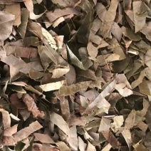 淫羊藿