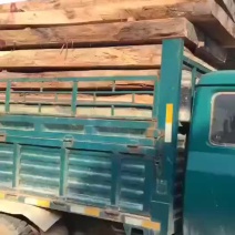 非洲金丝水南
