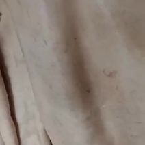 驴皮