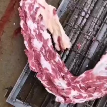 满肉新鲜驴脊骨肉多多整套批发新鲜驴脊骨大量供应