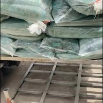 粽子叶芦苇叶原产地供应