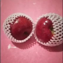 红肉苹果