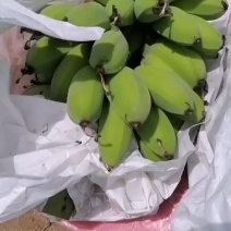 苹果蕉