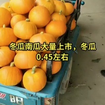 黄金南瓜