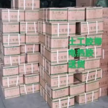 土工膜胶KS热熔胶防渗膜复合膜粘接胶牢固防水耐高温耐寒
