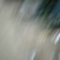 葡萄树