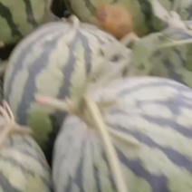 （基地直供）开封祥符区美都西瓜大量上市，货源充足