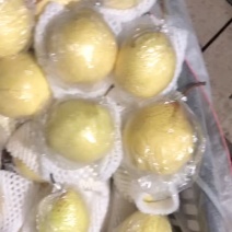 膜袋水晶鸭梨🍐2-3毛，口感嘎嘎甜，全国发货