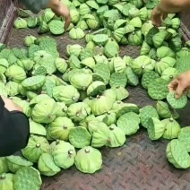 太空莲