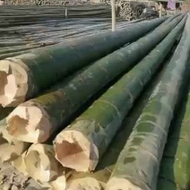 【推荐】浙江一手货源批发毛竹海水养殖大棚建筑搭架深加工