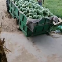美都