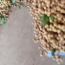 卖龙眼