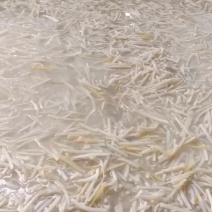 广西酸笋