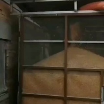 吸粮机，软管吸粮机，方便快捷，厂家直销质量保证