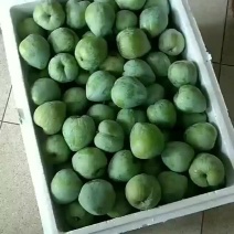 奈李