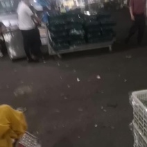 甘蓝菜