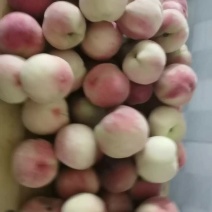 毛桃！余货不足1W斤
