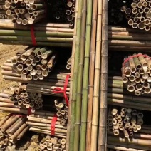 产地厂家竹竿毛竹稍0.65米至4米搭架支撑杆低价出售