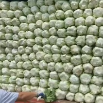 农妇山地大白菜，保质保量黄心大白菜云南白菜