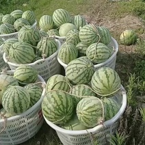 水果