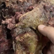 牛肉牛肉五香牛肉厂家一手货源纯干无水保质保量
