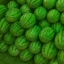 金城五，以成熟，，，，，，，，，，，，，，，，，，，，，