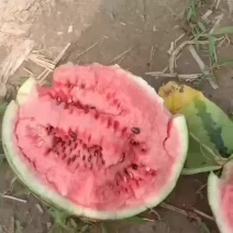 台头西瓜