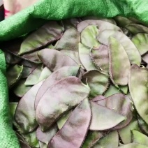 梅豆大量有货