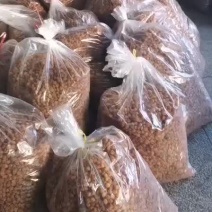 桂圆肉