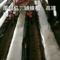 覆膜机，铺膜机，地膜机，全自动，省工省时省人工。