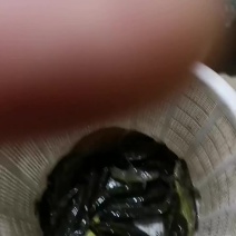 黄鸭叫
