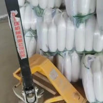 象牙白