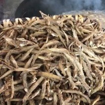 供应现炸泥鳅干/香脆泥鳅干/五香泥鳅干