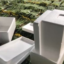 鲜花丝瓜
