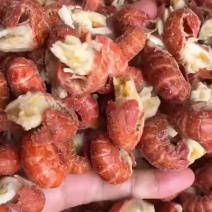 大个龙虾尾
