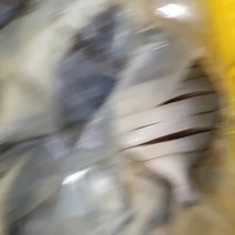 金昌鱼干
