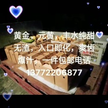 欢迎来采购
