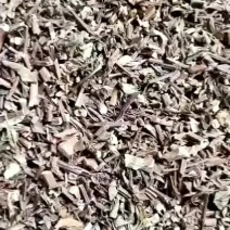 猫须草量大从优干货常年经营中药材