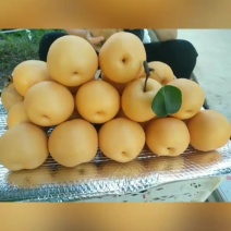 爆汁梨，天然矿泉水