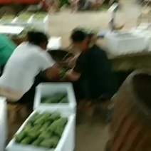 黑李，奈李